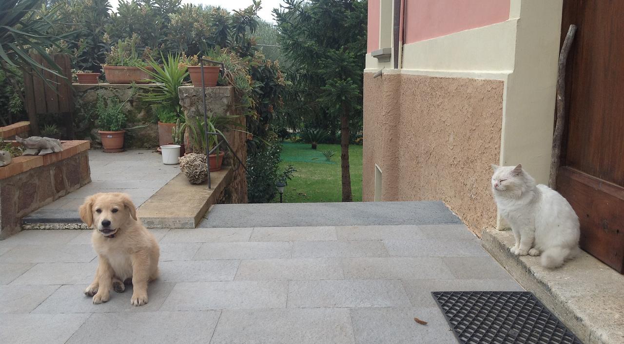 Villa Vincenza Vallo della Lucania Exterior foto